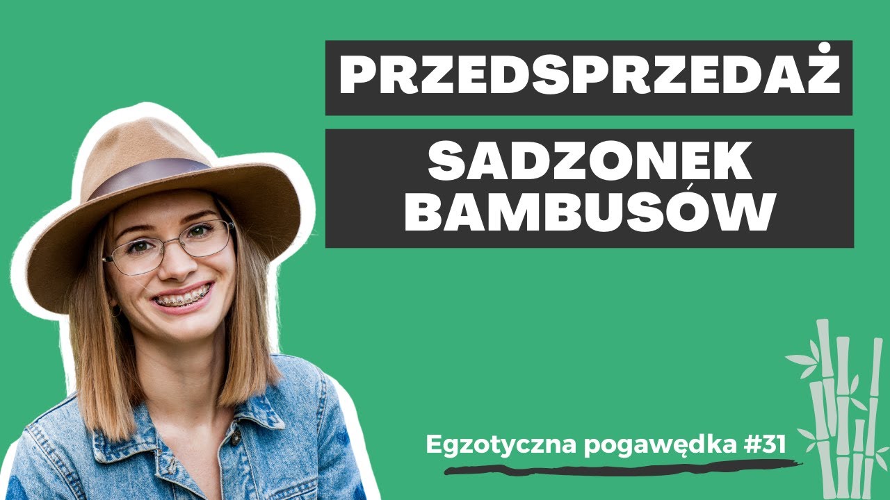 Egzotyczna Pogawędka #31 | Przedsprzedaż sadzonek bambusów + aktualne prace e-bookiem o palmach