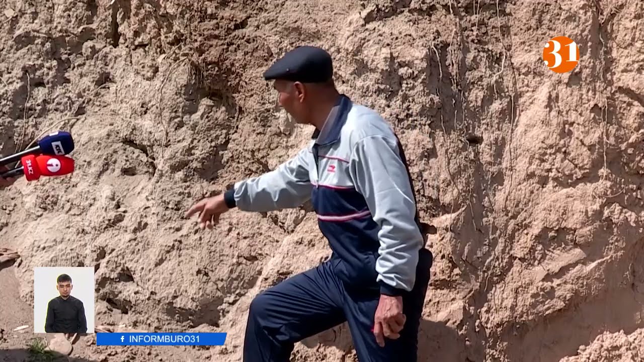 Древнее захоронение разорили ради добычи песка