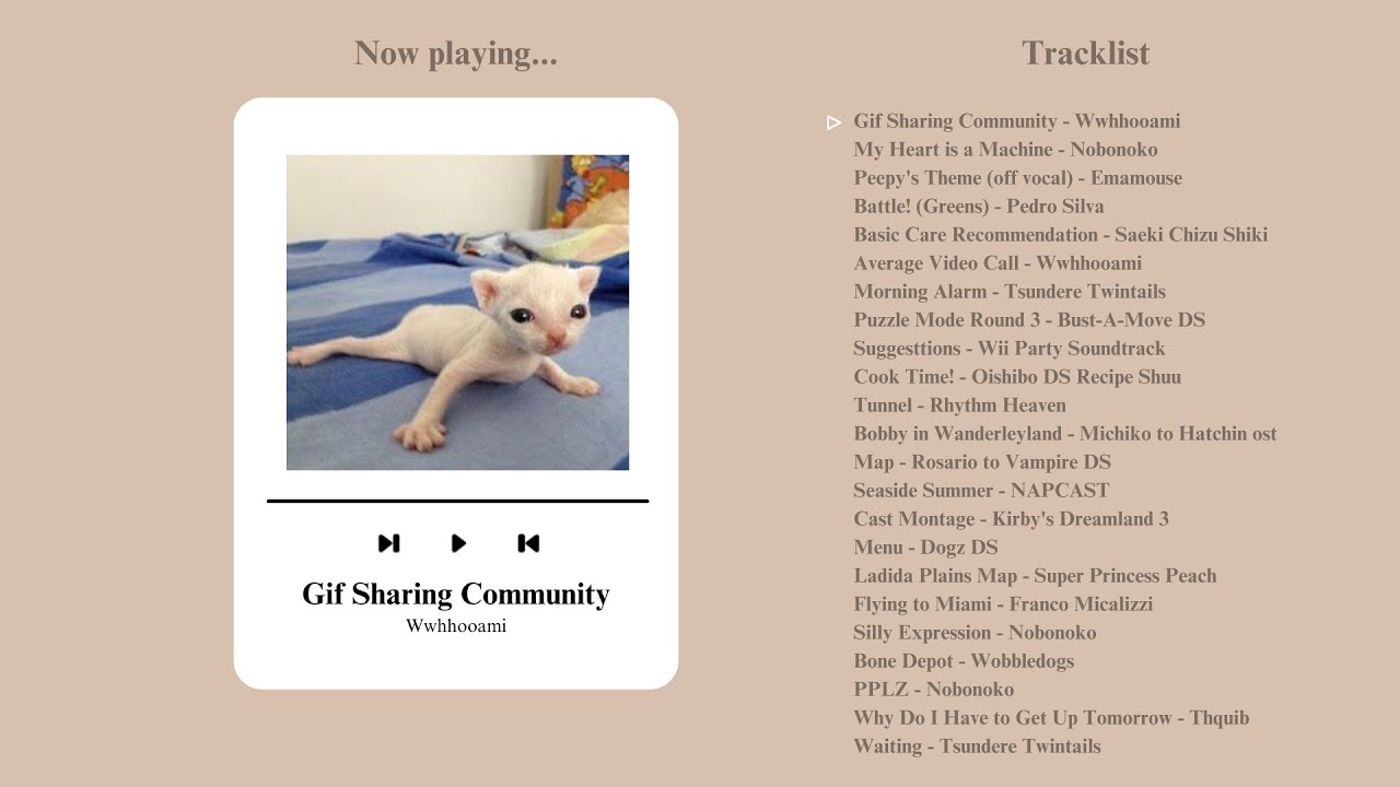 A Legally Illegal Silly Playlist to Commit Tax Fraud