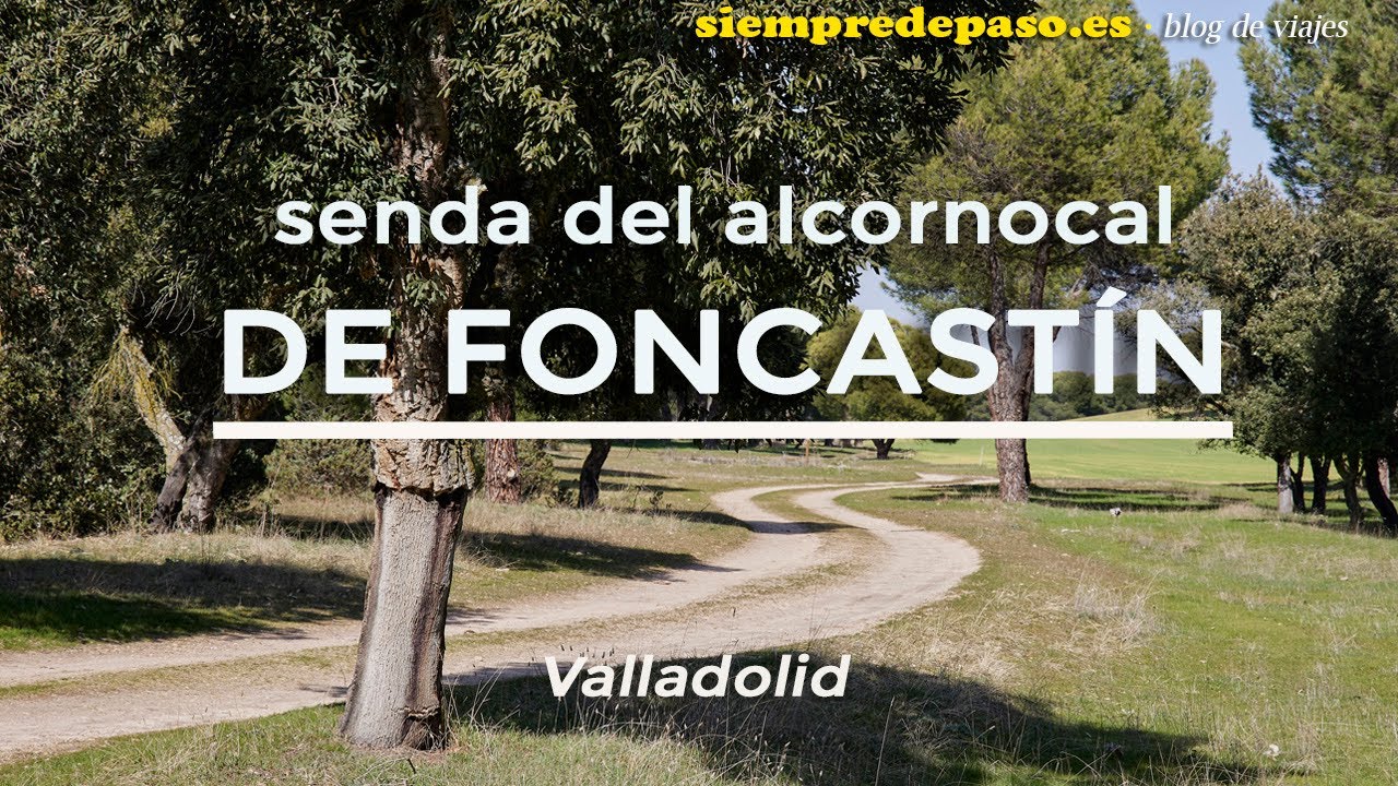 Senda del alcornocal de Foncast&iacute;n
