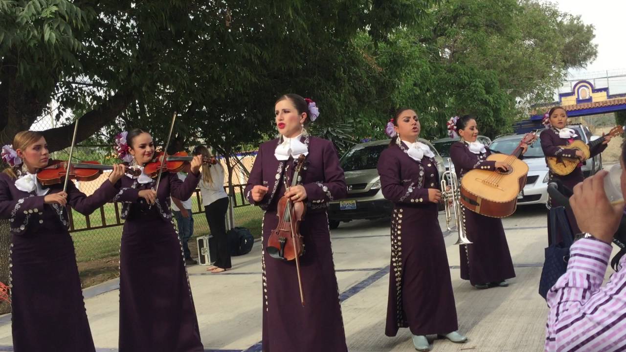 Femenil Nuevo Teca 