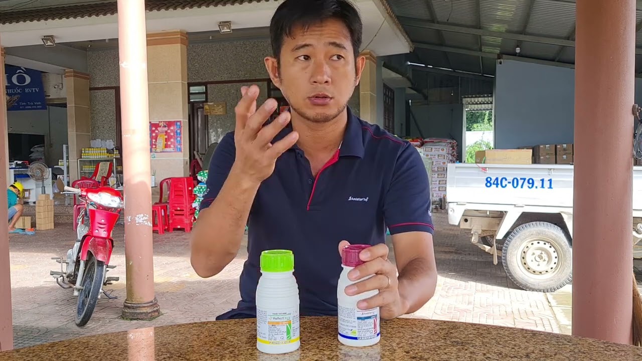 AmistarTop 325SC v&agrave; Reflect Xtra 325SC c&oacute; g&igrave; kh&aacute;c biệt? Gi&aacute; th&agrave;nh bao nhi&ecirc;u.