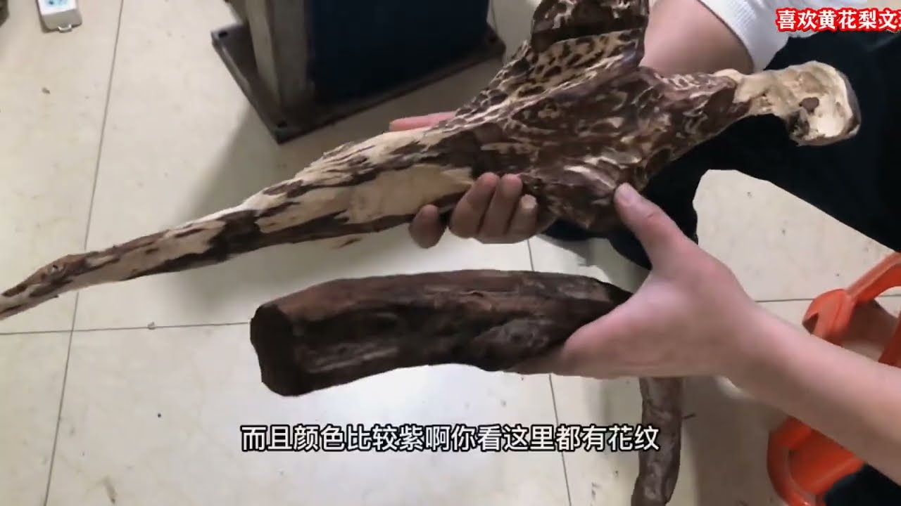 海南黄花梨，现场怼料，有多么的刺激