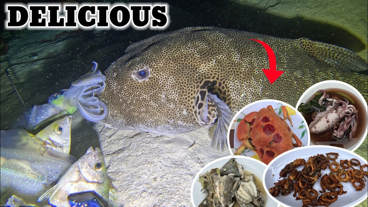 Akala ko lapu-lapu na subrang laki /catch & cook 