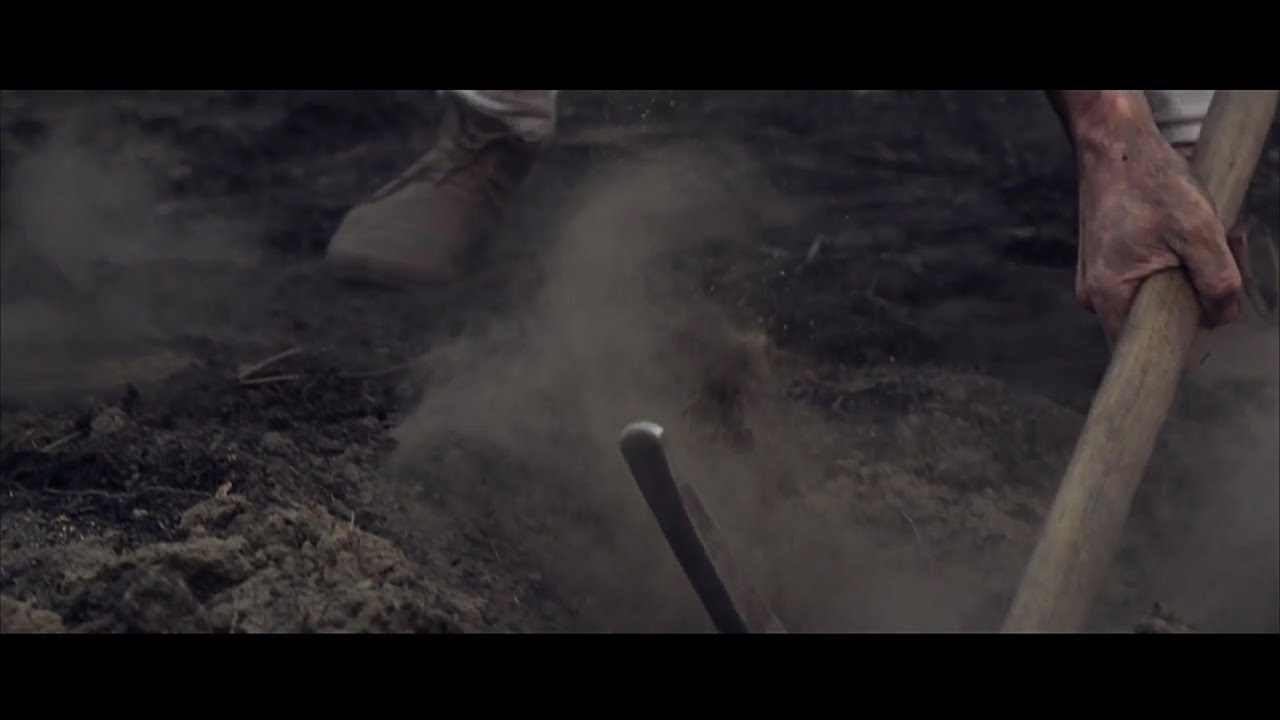 Carry Me Home (Official Music Video) - The Sweeplings