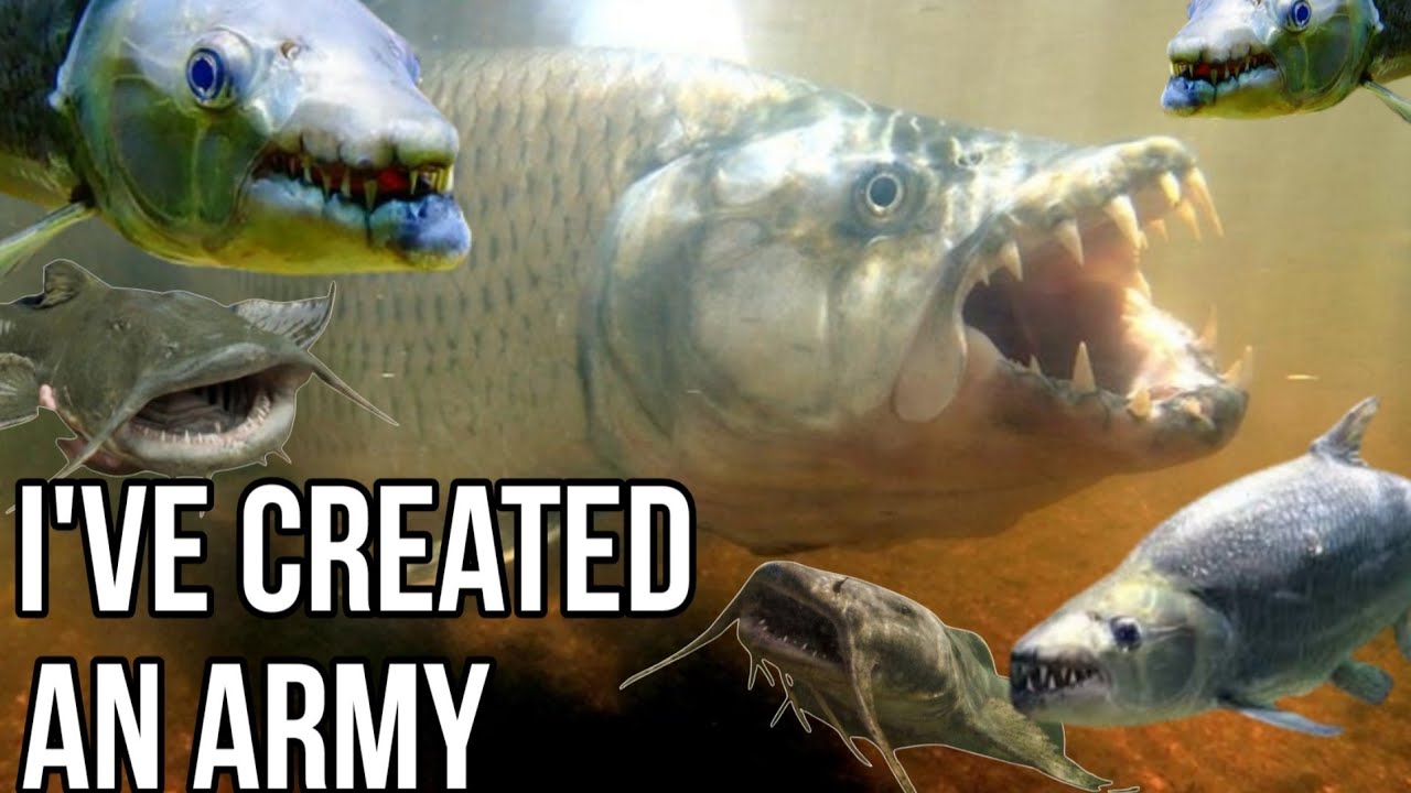 ARMY of African Tiger Fish & Goonch Catfish! New 3500 Gallon Tank Final Coat