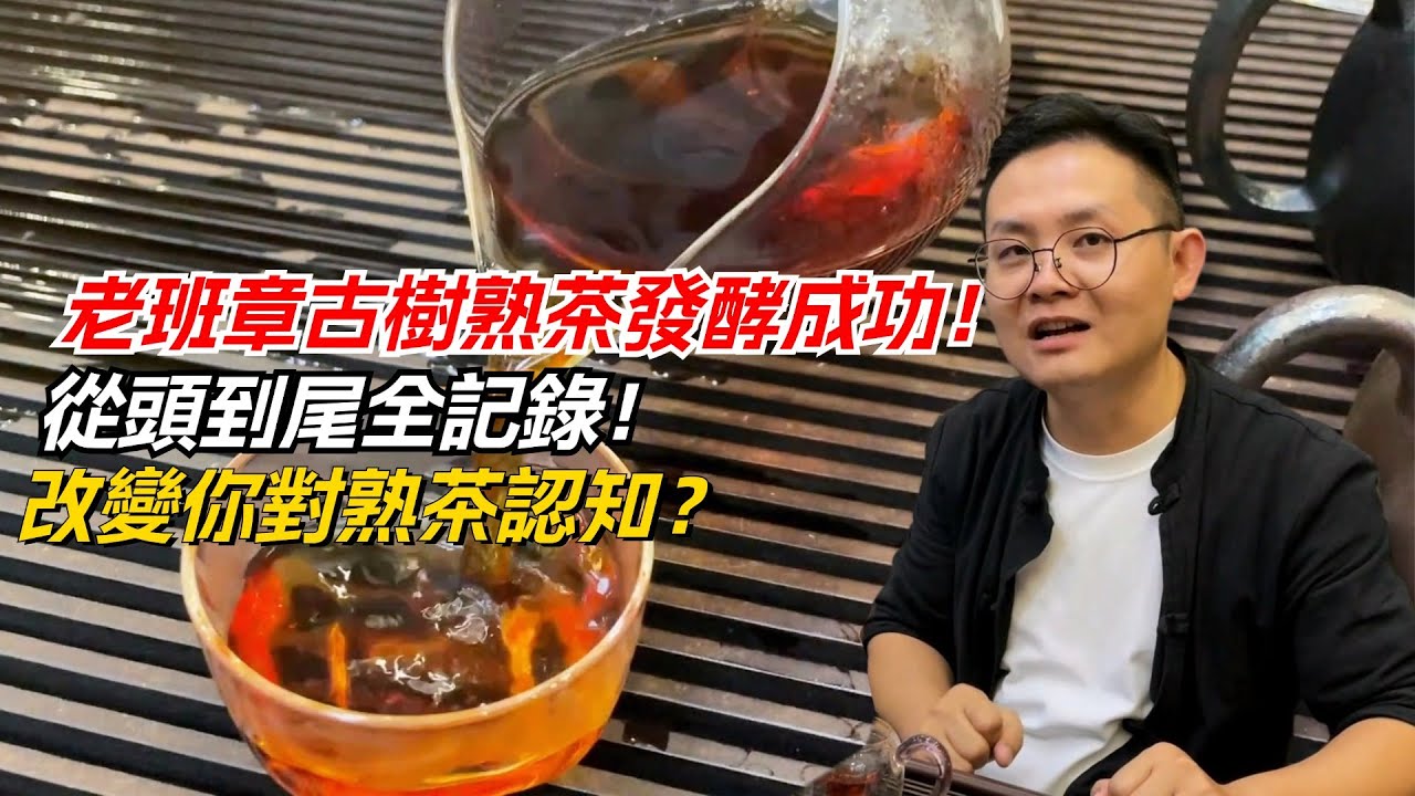 老班章古樹熟茶發酵成功！從頭到尾全記錄！改變你對熟茶認知？购茶请加微信/赖line：HDLG001