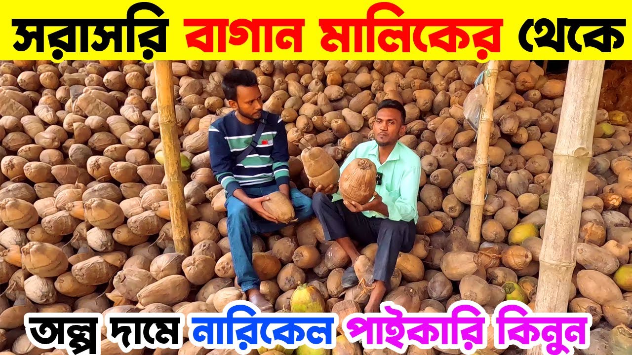 ১০০ টাকার নারিকেল দিব ৭০ টাকায় | নারিকেল পাইকারি আড়ৎ নোয়াখালী | coconut wholesale market