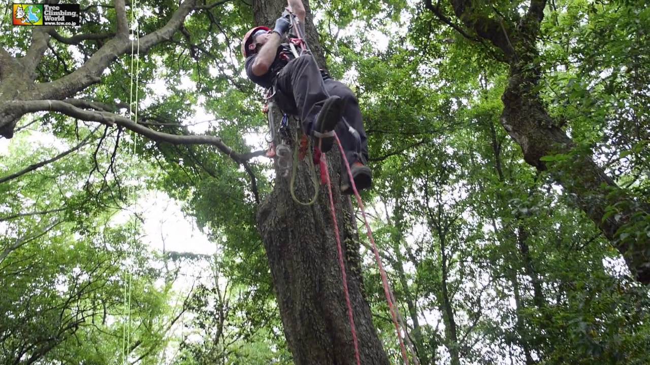 Safest SRT Rope Wrench Climbing  (USE TWO!)  Rich Hattier and Dr. John G in Japan