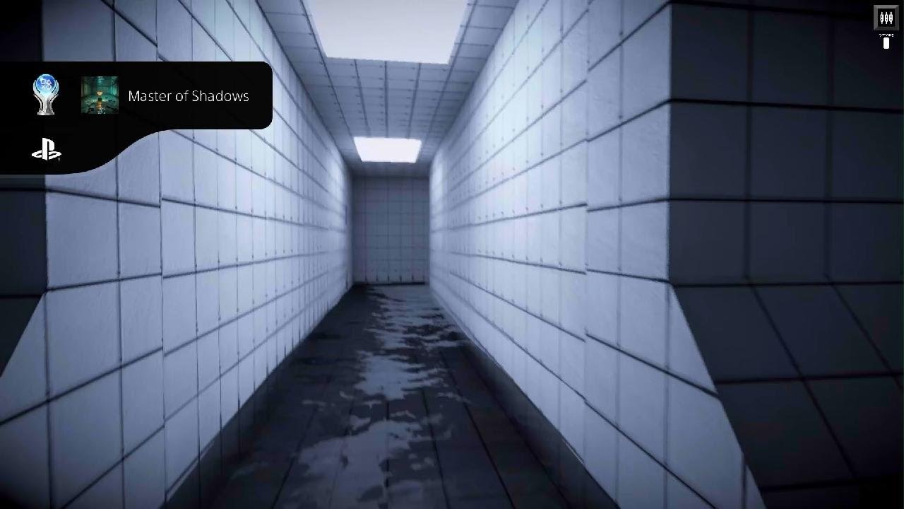Platinum 13336 | TRALALERO TRALALA BACKROOMS POOLS