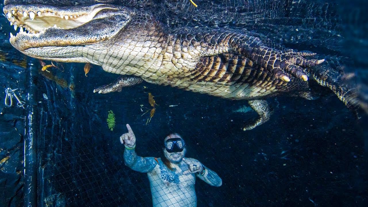 SWIMMING WITH AN AMAZING TRAINED ALLIGATOR!! | BRIAN BARCZYK
