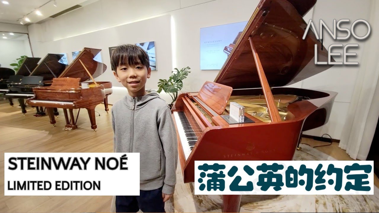 蒲公英的约定 周杰倫 ｜ 上海Steinway ｜Steinway NOÉ 限量版