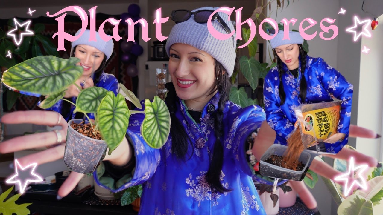 Caring For My Green Children 🌱 {Soil Salad, Repots, Plant Styling} 🐞