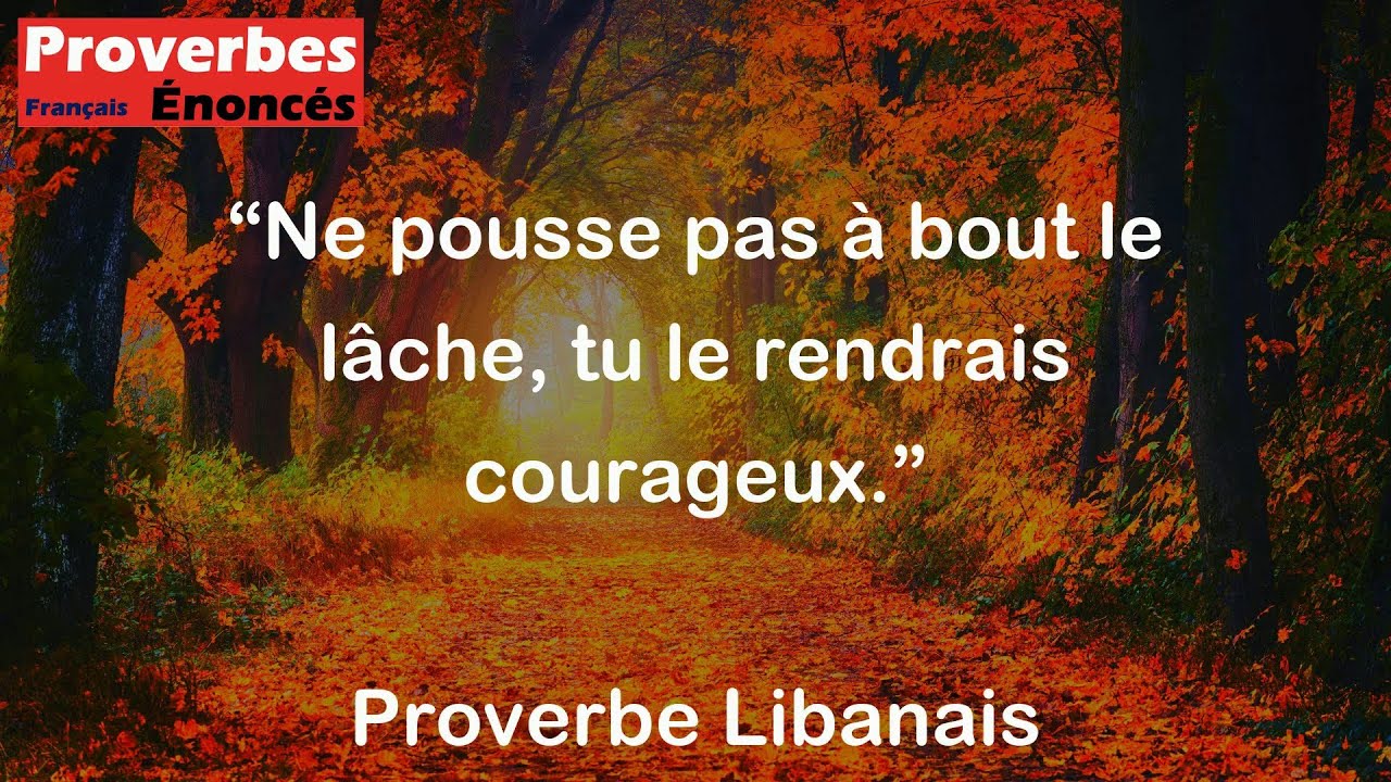 Proverbe Libanais - Ne pousse pas à bout le lâche, tu le rendrais courageux.