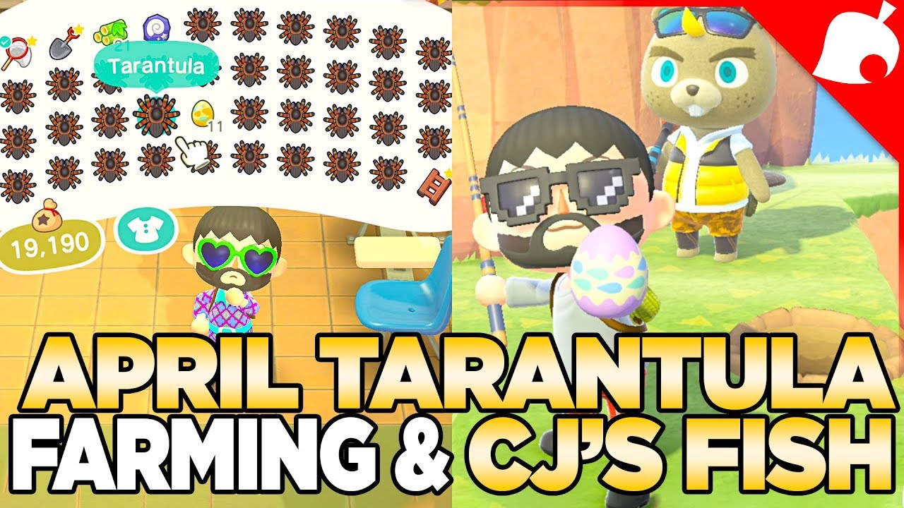 Апрельское разведение тарантулов, рыбалка CJ и расширенный дзен-сад! Animal Crossing: Новые гориз...