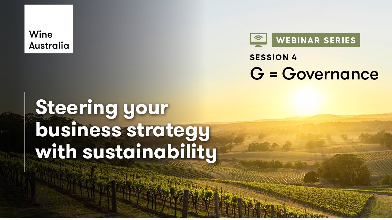 Steering your Business Strategy with Sustainability | Governance