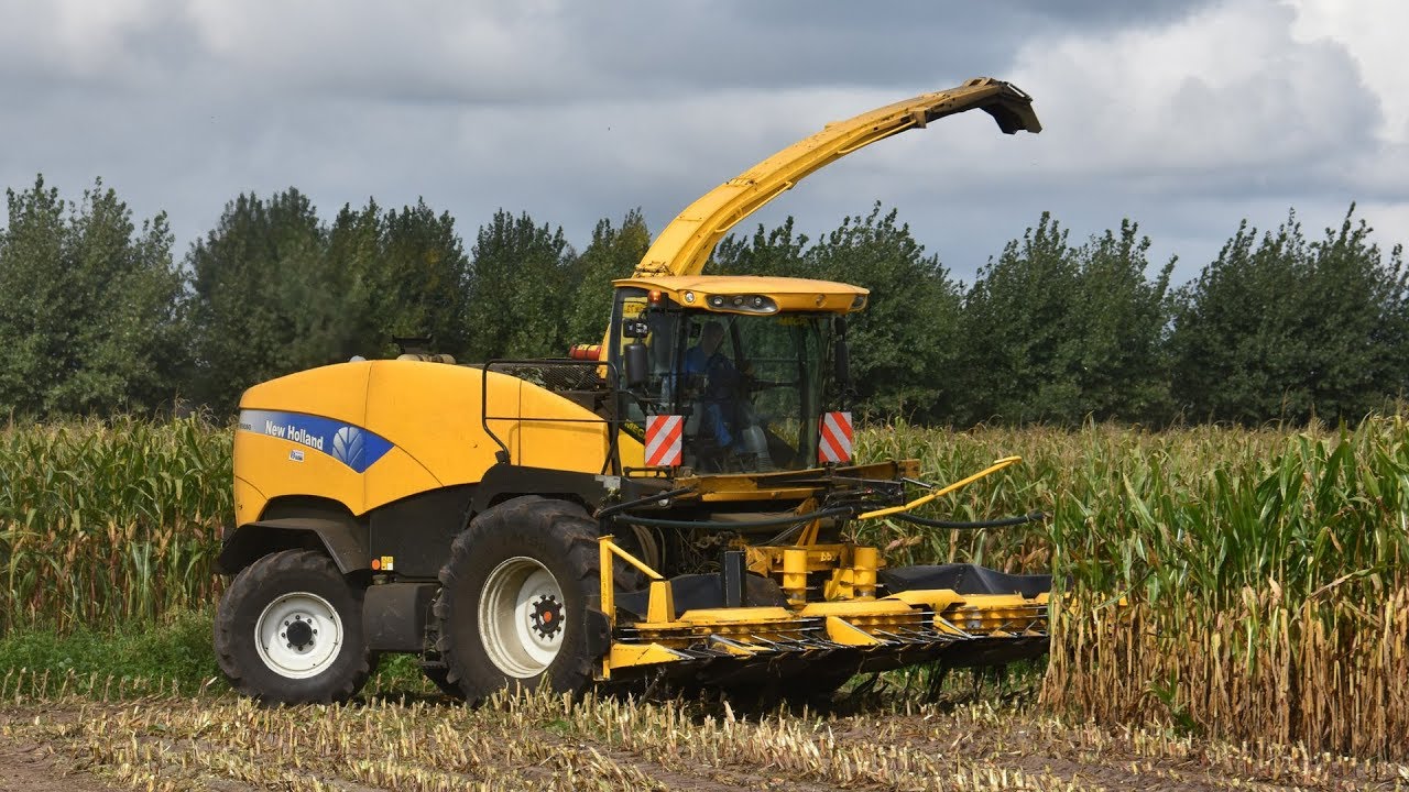 New Holland FR9080   Meganck Haenebalcke   mais hakselen
