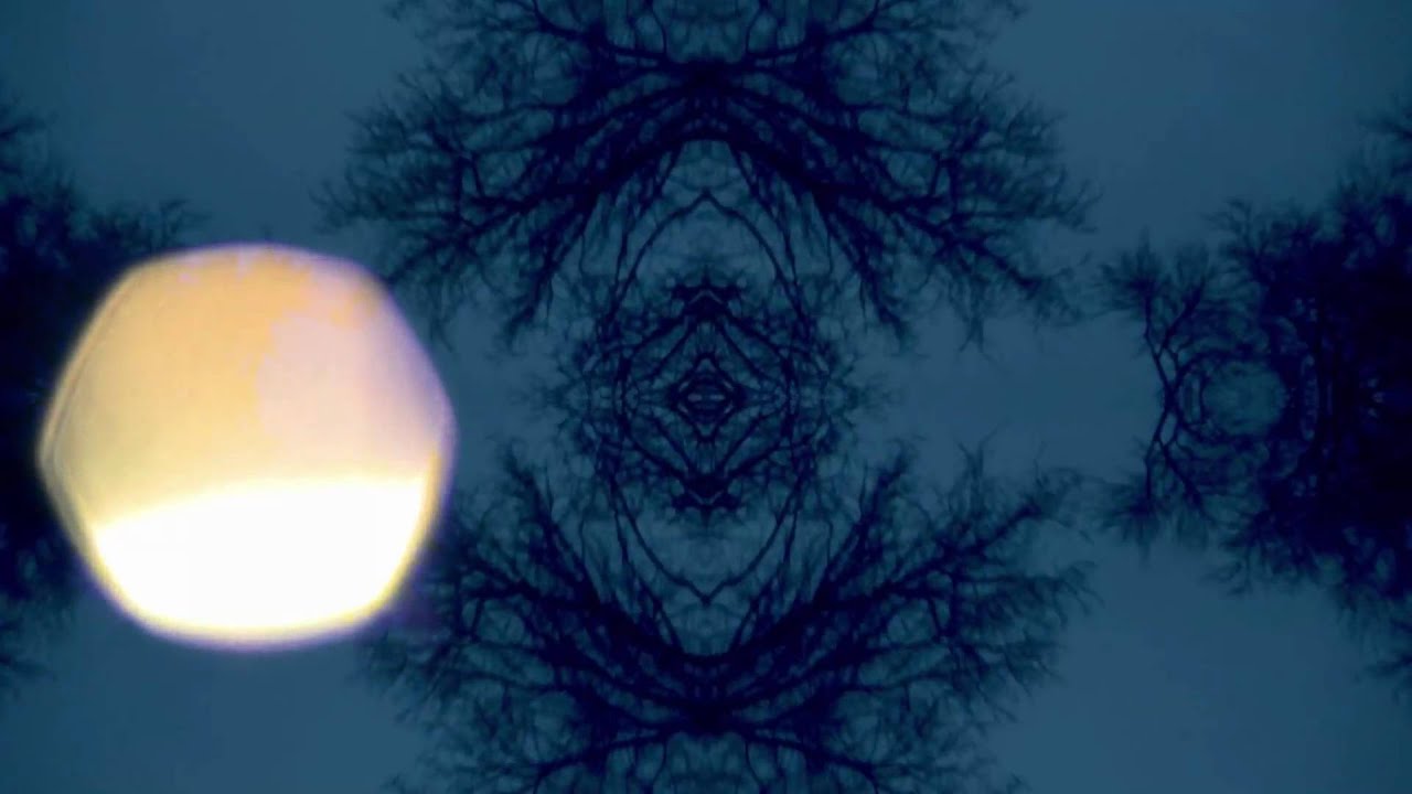 Flying Lotus - Pickled (Video)
