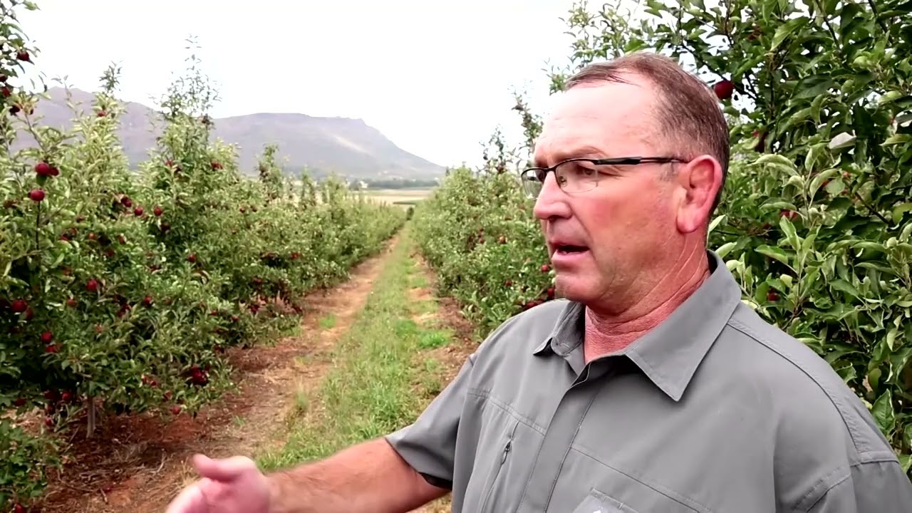Farmers' revenues wither amid South Africa power crisis