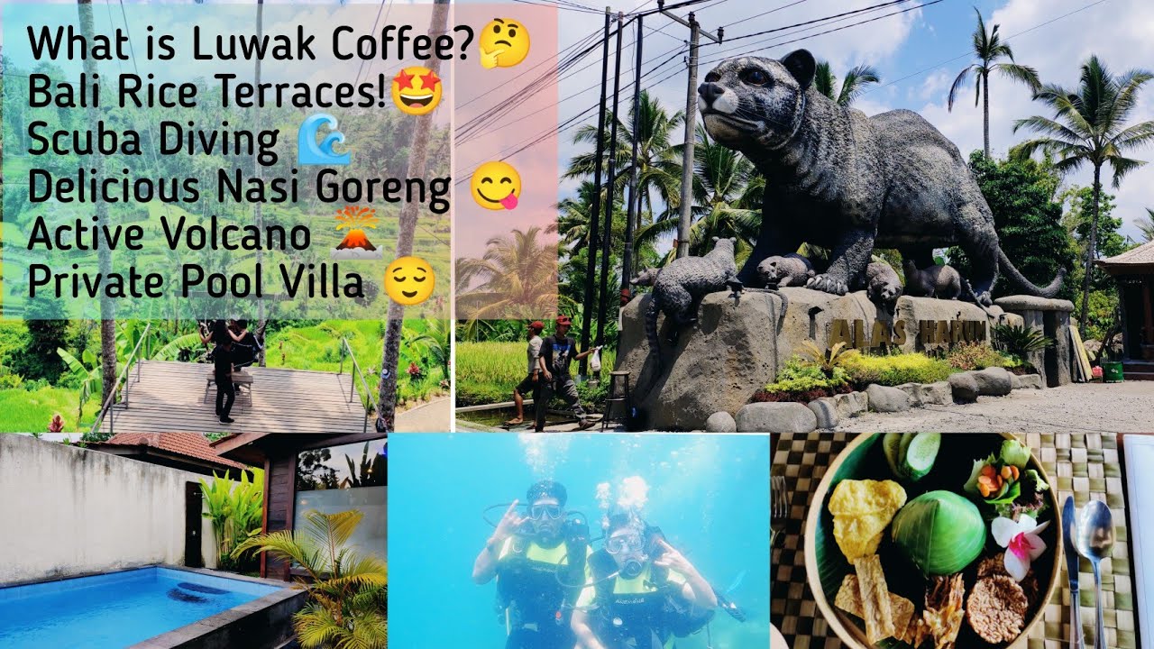 Active Volcano Bali|Luwak Coffee|Rice Terrace|Swing|Private Pool Resort|Manuaba Falls|Scuba Diving