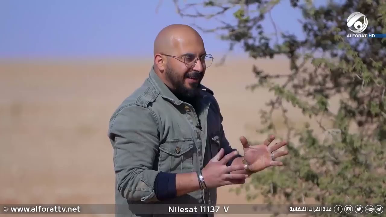 حالة نادرة لم تحدث في العالم الا في العراق 😳 شجرة تنبت وسط الصحراء