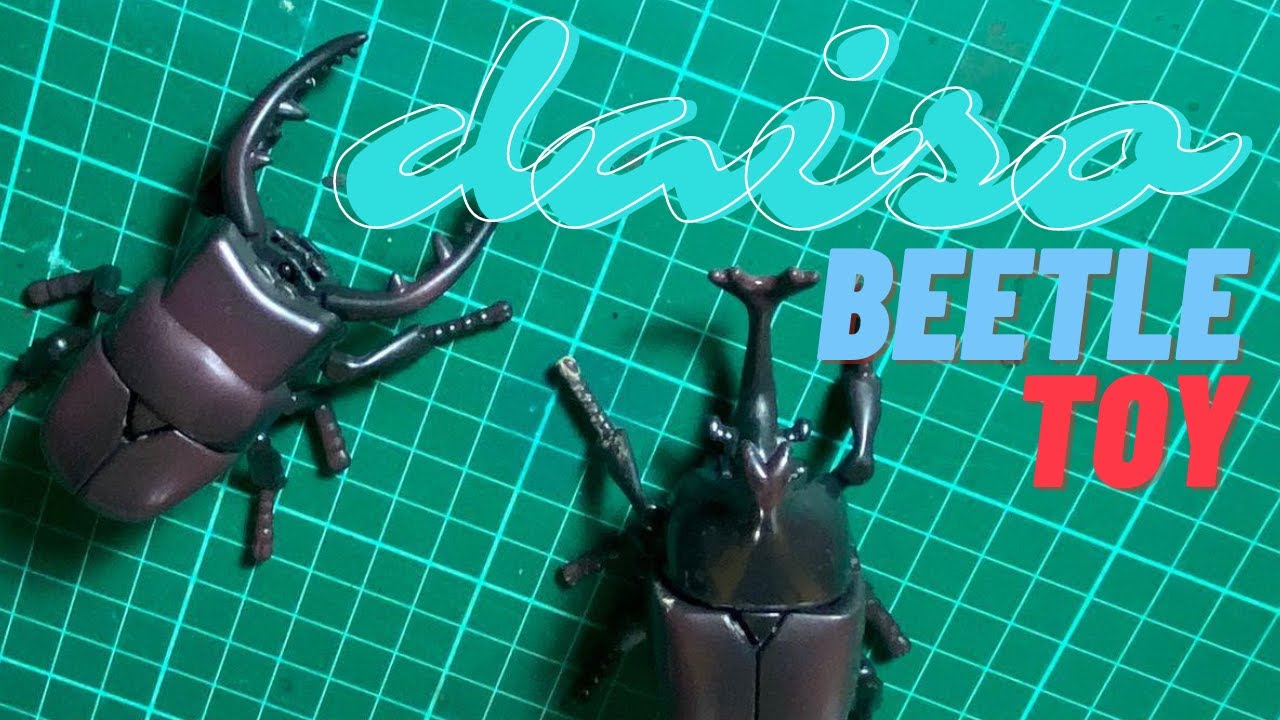 Daiso Wind up Beetle Toy
