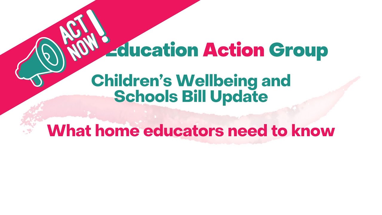 Pt 3: Children's Wellbeing & Schools Bill: Deregistration