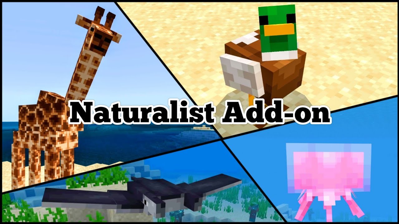 Minecraft Naturalist Add-On - All Custom Animals/Mobs