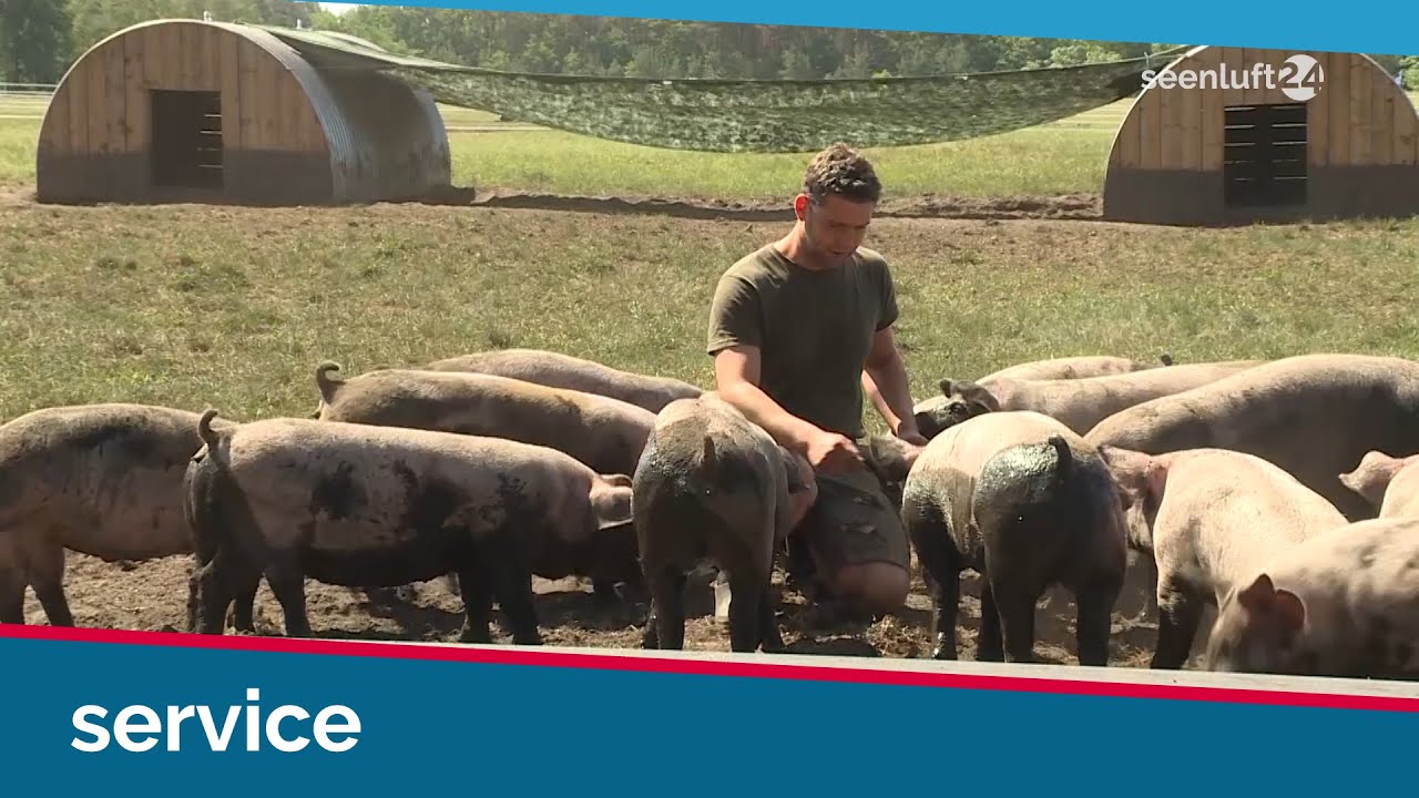 Kai und die glücklichen Schweine