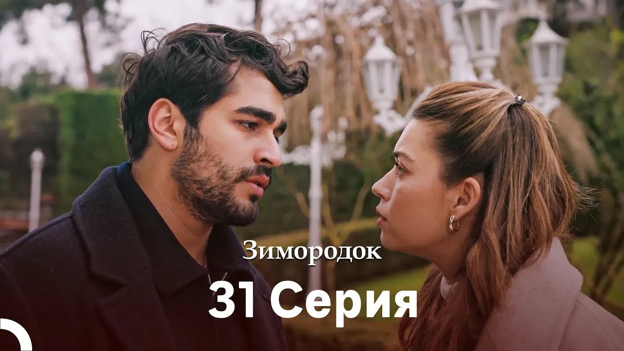 Зимородок 31 Cерия (Русский дубляж)(Длинная Bерсия)