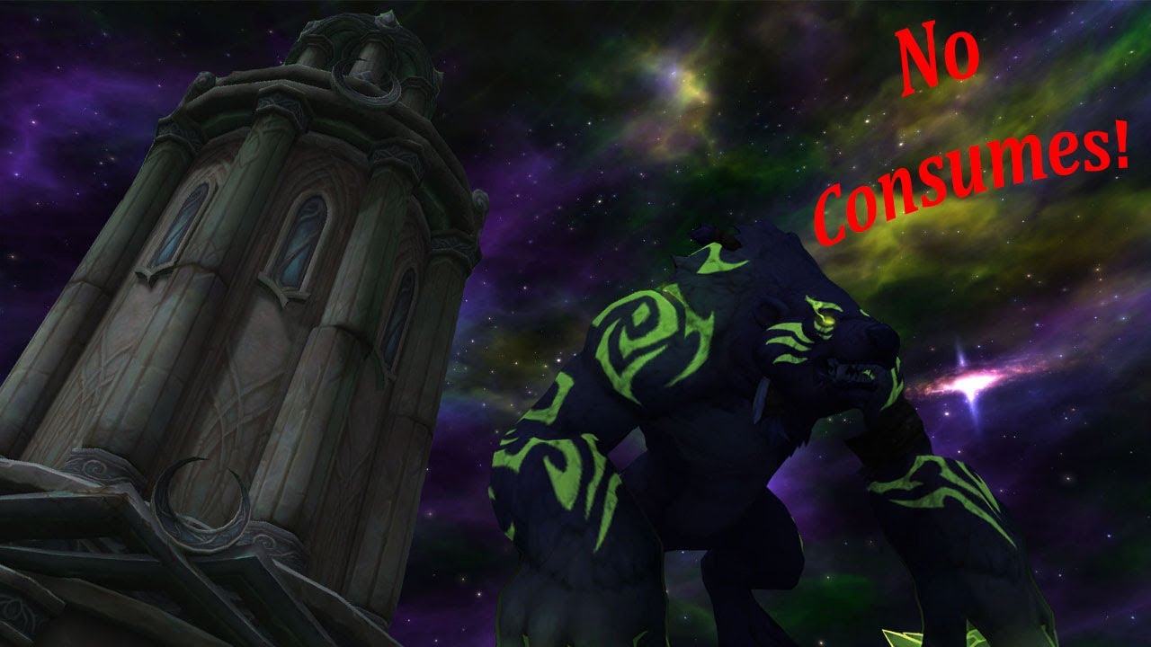 9.1.5 Guardian Druid Mage tower NO CONSUMES - Legion timewalking