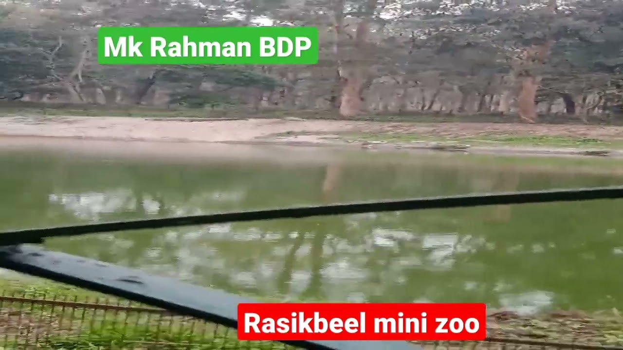 #viral #shots Rasikbeel mini zoo 🐘🐼🐯#shots & vlog