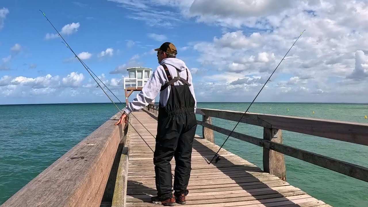 Pêche en mer du bord ! De retour sur la belle  jetée ! #fish #fishing #poisson #surfcasting