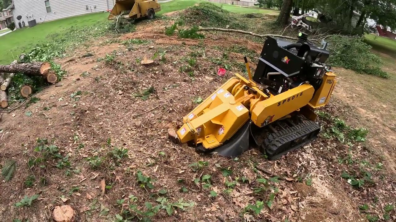 STUMP GRINDING WITH OUR NEW CARLTON SP6016TRX
