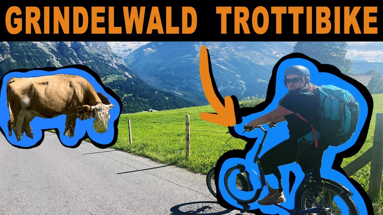 The best Scooters in the World ! Switzerland | GRINDELWALD FIRST TROTTIBIKE