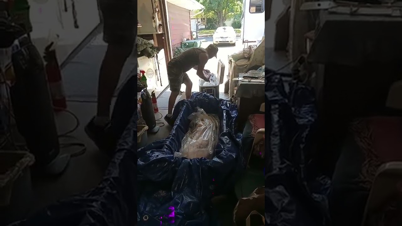 How to thaw out a whole pig before the big barbecue...