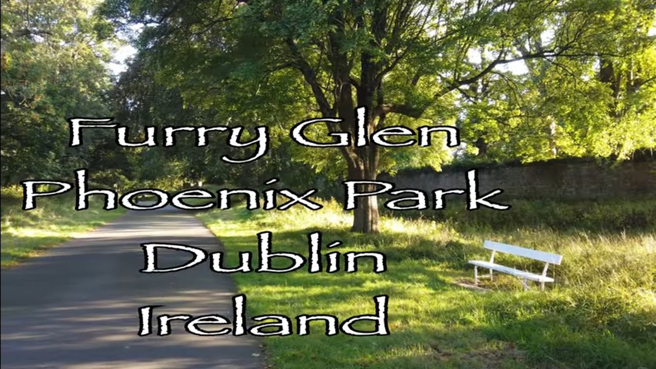 Furry Glen , Phoenix Park,Dublin,Ireland