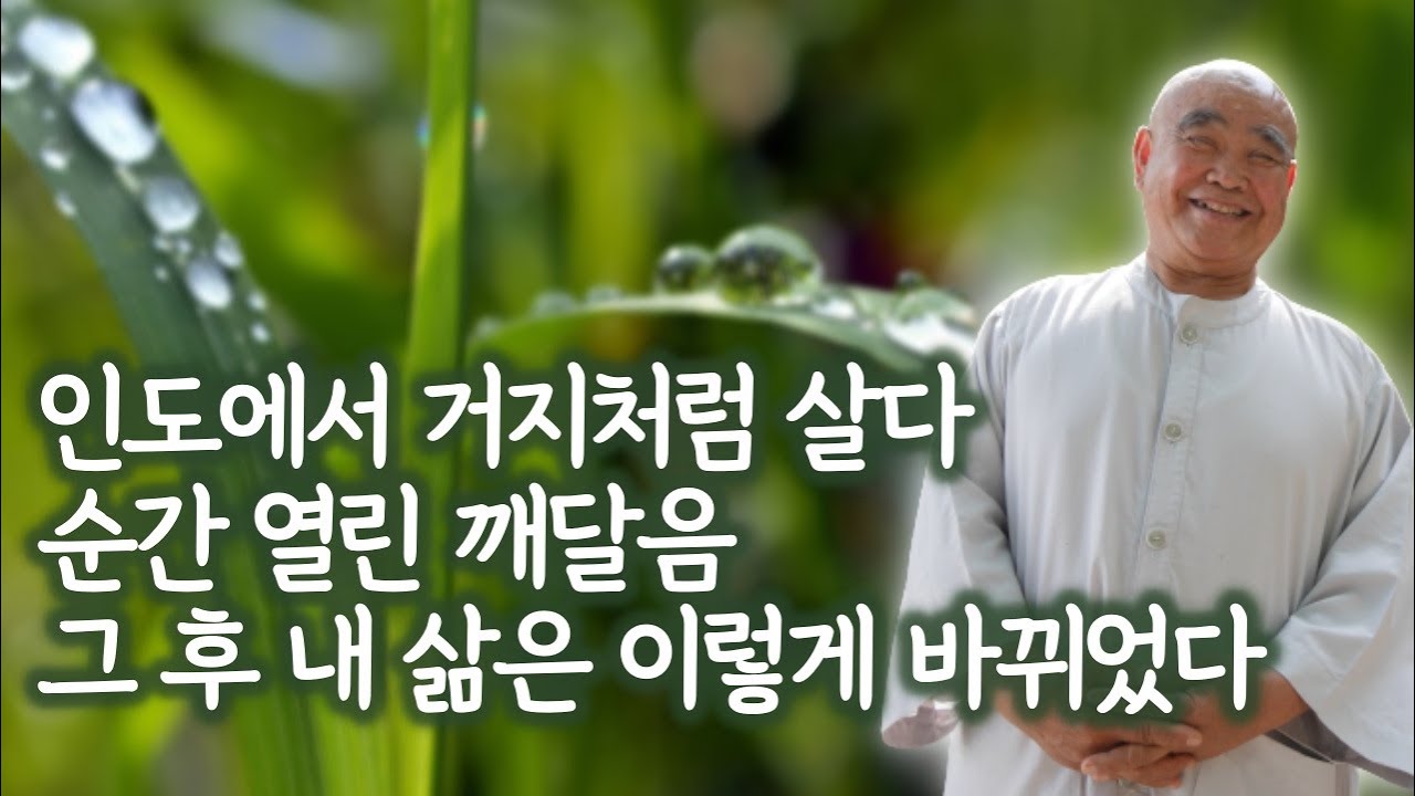 대필과 짜깁기...엉터리 법문 하는 스님들 많다 | '산골 노승의 화려한 점심' 향봉스님 3