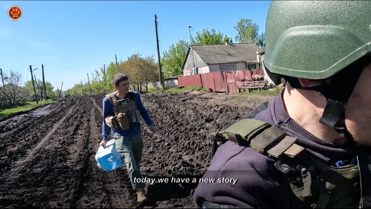 ЧАСІВ ЯР | Евакуація тварин | Понад 10 тварин врятовані нашими воїнами