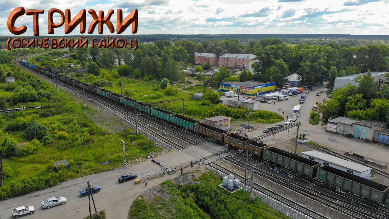 Стрижи (Прогулки по Кировской области)