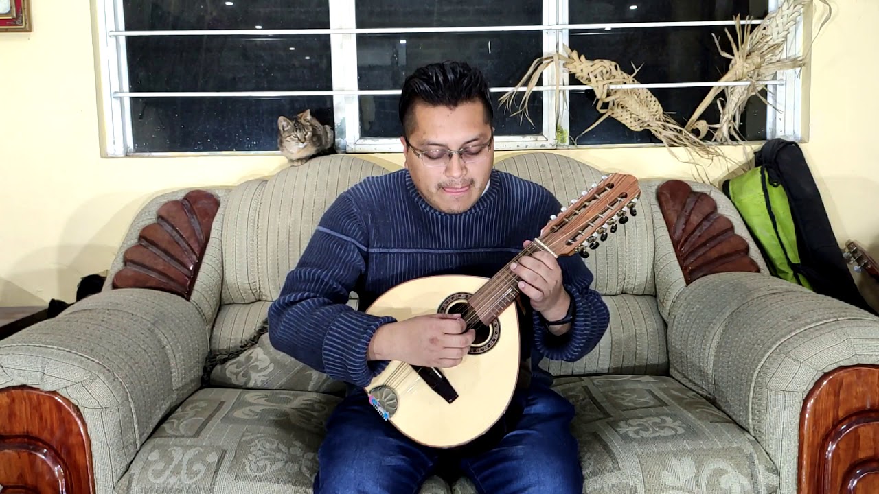 CLASE DE BANDURRIA