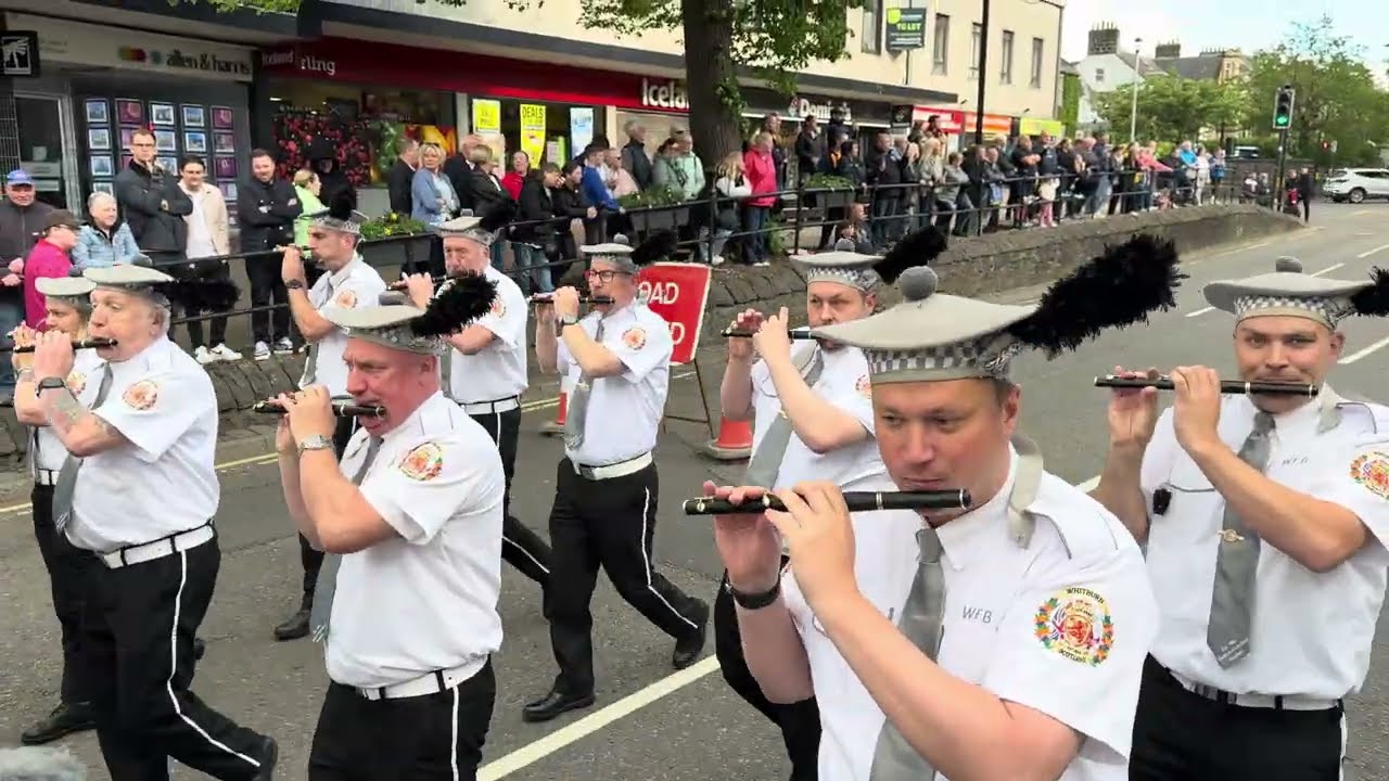 What a night, best parade of the year so far, Stirling Protestant Boys band parade 2026
