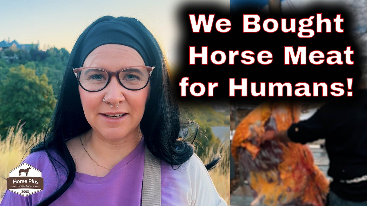 Tawnee Undercover Buying Horse Meat for Humans to Eat!