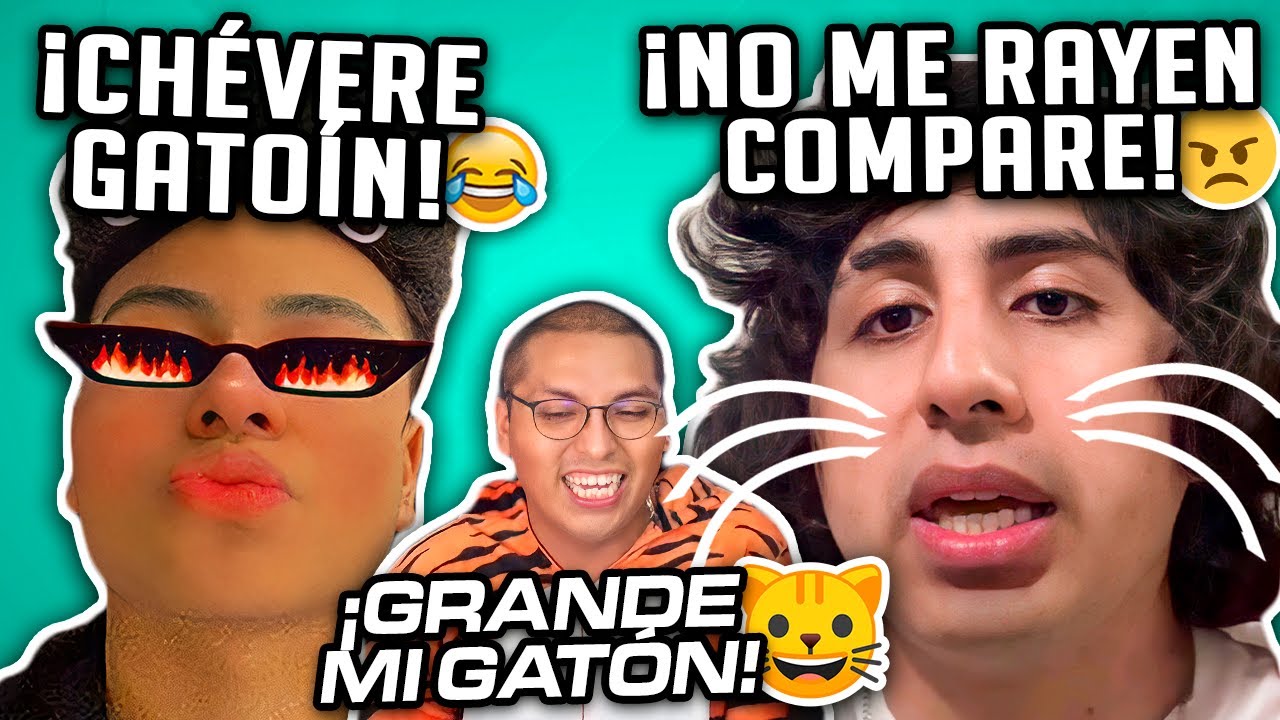 NEUTRO Y PRÓXIMO TROLLEAN CON 'GATITO' DE JEFRAIN 😹| EXPLICA PORQUÉ LE DICEN ASÍ 😸