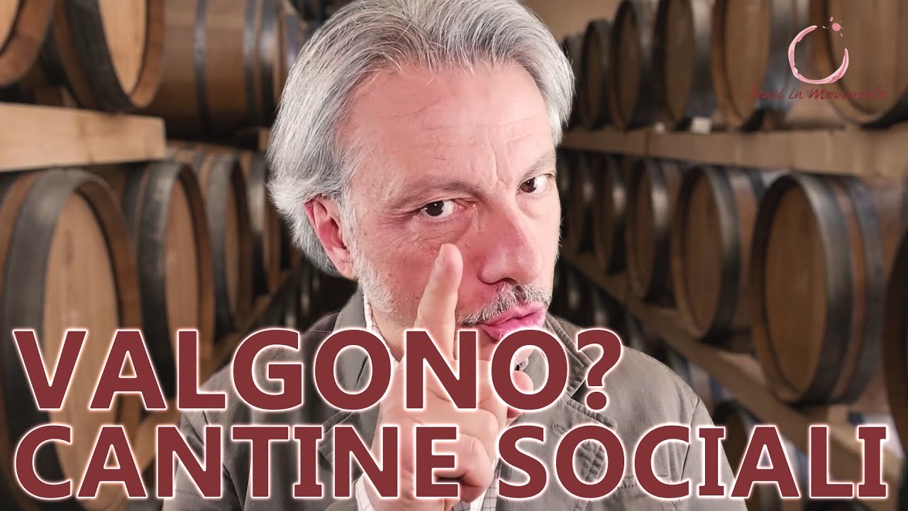 Le cantine sociali? Grandi vini!