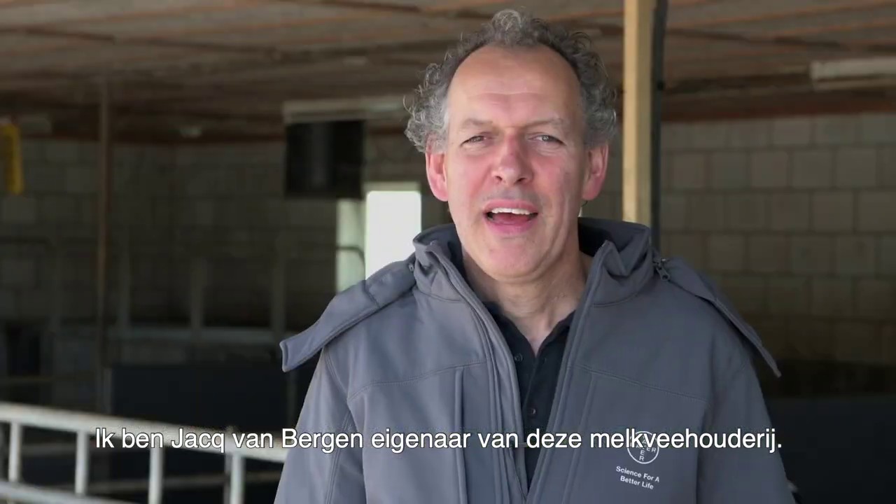 Vliegenoverlast onder controle met K-Othrine SC 7,5