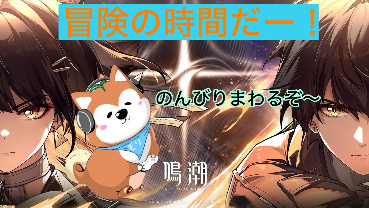 鳴潮　ガチャ引いて火力を出したい！！