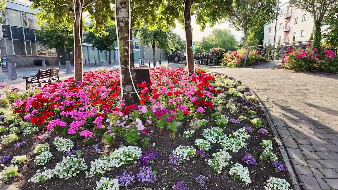 Exploring Carlow, Ireland | Rich History and Scenic Beauty