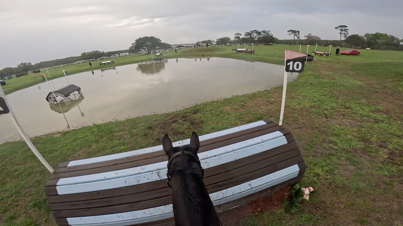 GoPro: Good American (Training Horse | 2026 Ocala Winter II Horse Trials)