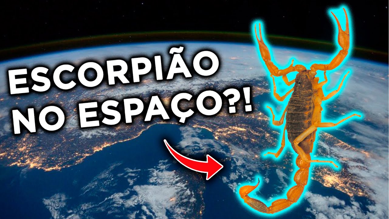 FIZ um BAL&Atilde;O de G&Aacute;S HIDROG&Ecirc;NIO e LANCEI o ESCORPI&Atilde;O no ESPA&Ccedil;O!! DEU CERTO?!